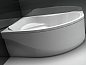 Акриловая ванна Aquanet Capri 170x110 L 00203914